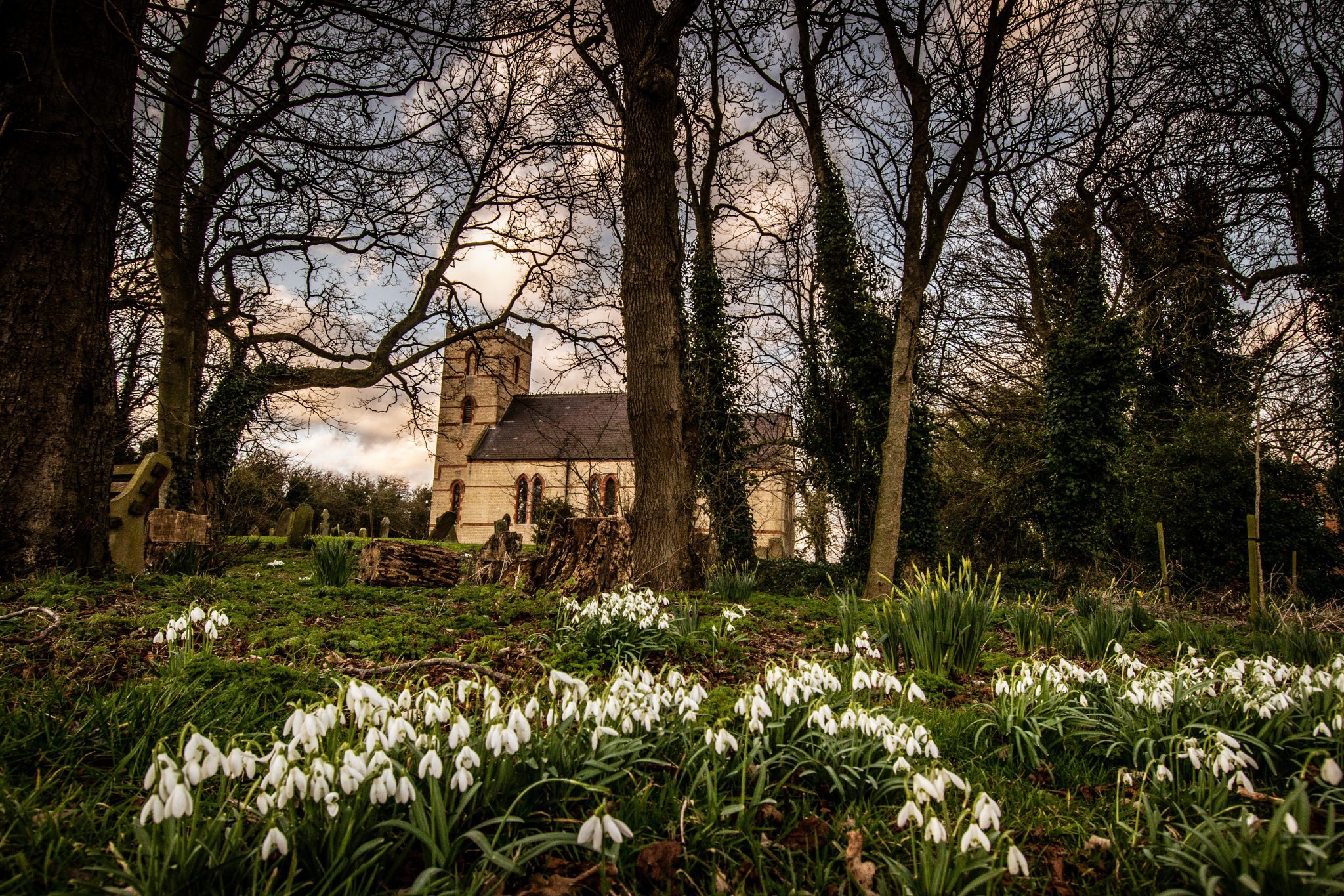 What to See and Do Elm Tree Farm, Holmpton